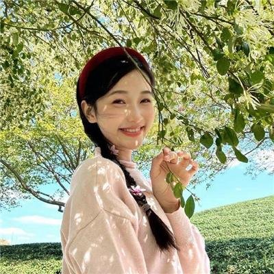 风筝再次飞起